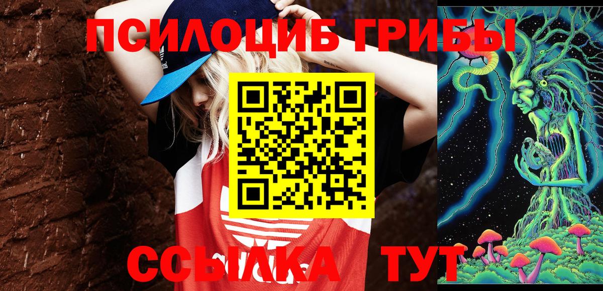 Псилоцибиновые грибы мицелий Семилуки