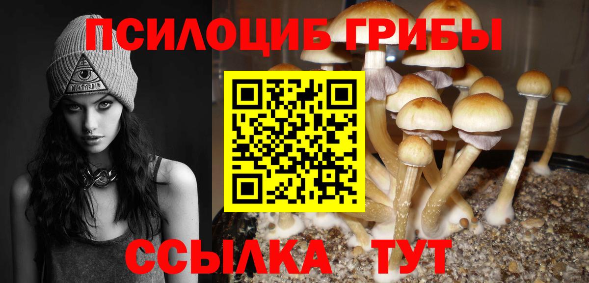 Семилуки  Галлюциногенные грибы Psilocybine cubensis  Вход с VPN 